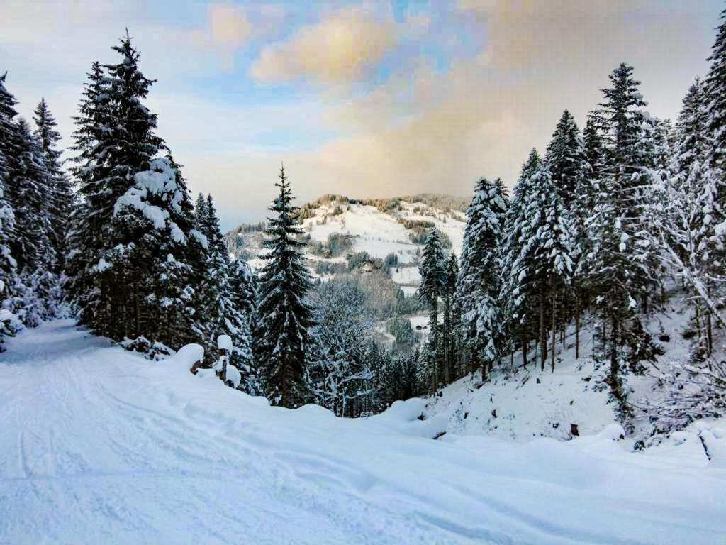 Hotel - Pension Oetzmooshof ซังค์โยฮันน์อิมพองเกา ภายนอก รูปภาพ