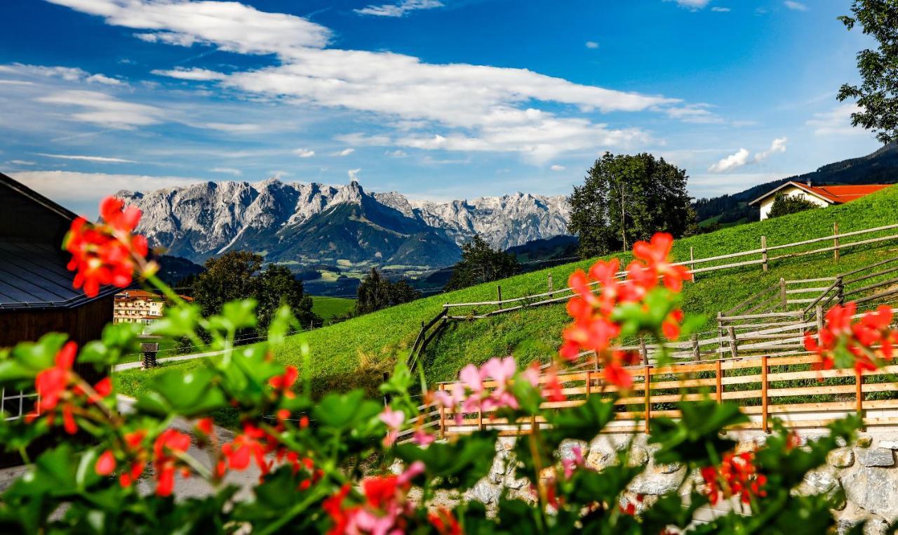 Hotel - Pension Oetzmooshof ซังค์โยฮันน์อิมพองเกา ภายนอก รูปภาพ